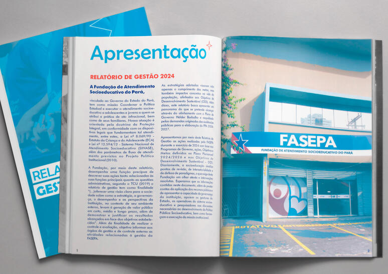 Relatório de Gestão da Fasepa 2024, Estágio